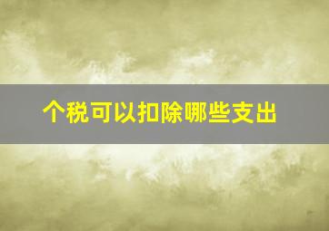 个税可以扣除哪些支出