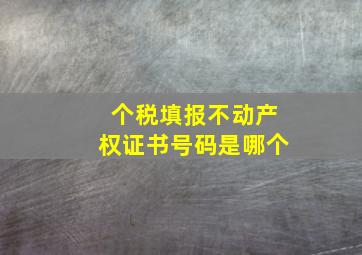 个税填报不动产权证书号码是哪个