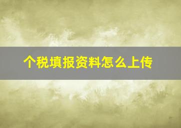 个税填报资料怎么上传