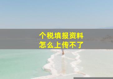 个税填报资料怎么上传不了