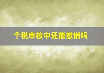 个税审核中还能撤销吗