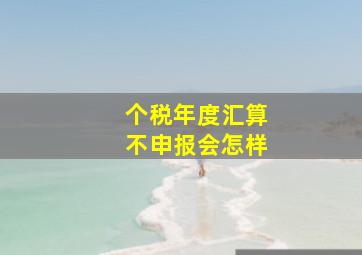 个税年度汇算不申报会怎样