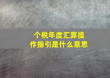 个税年度汇算操作指引是什么意思