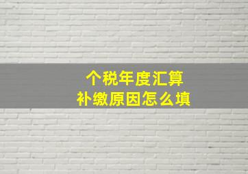 个税年度汇算补缴原因怎么填