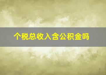 个税总收入含公积金吗