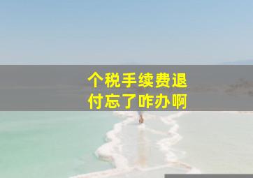 个税手续费退付忘了咋办啊