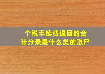 个税手续费退回的会计分录是什么类的账户