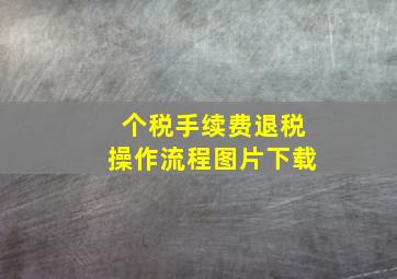 个税手续费退税操作流程图片下载