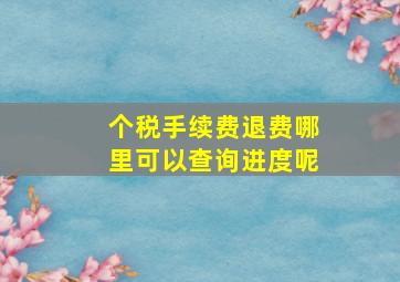 个税手续费退费哪里可以查询进度呢