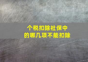 个税扣除社保中的哪几项不能扣除