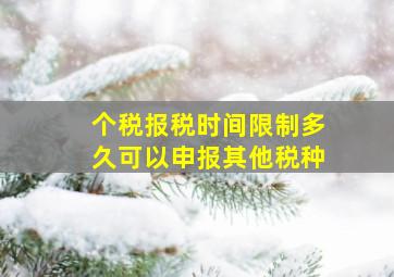 个税报税时间限制多久可以申报其他税种