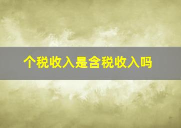 个税收入是含税收入吗