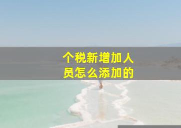 个税新增加人员怎么添加的