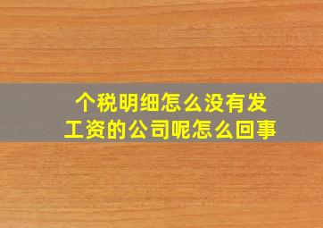 个税明细怎么没有发工资的公司呢怎么回事