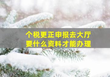 个税更正申报去大厅要什么资料才能办理