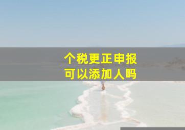 个税更正申报可以添加人吗