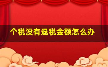 个税没有退税金额怎么办