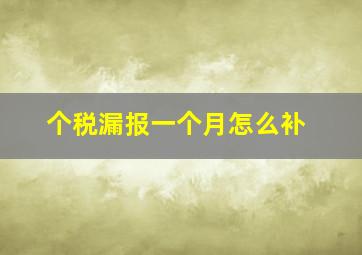 个税漏报一个月怎么补