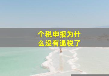 个税申报为什么没有退税了