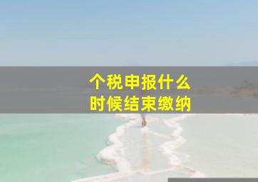 个税申报什么时候结束缴纳