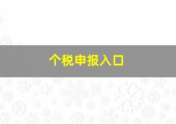 个税申报入口