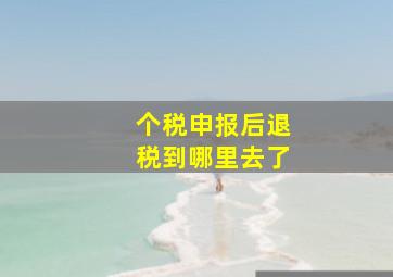 个税申报后退税到哪里去了