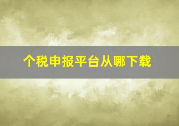 个税申报平台从哪下载