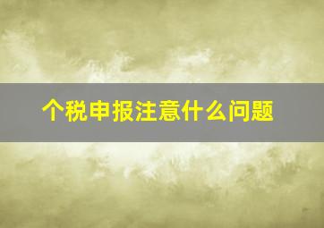 个税申报注意什么问题