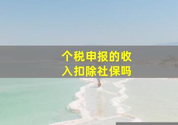 个税申报的收入扣除社保吗