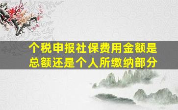 个税申报社保费用金额是总额还是个人所缴纳部分