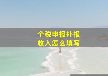 个税申报补报收入怎么填写