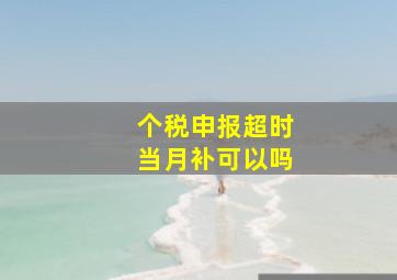 个税申报超时当月补可以吗