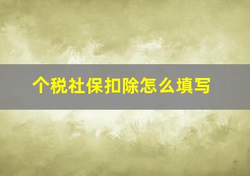 个税社保扣除怎么填写