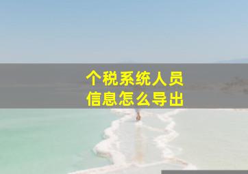 个税系统人员信息怎么导出