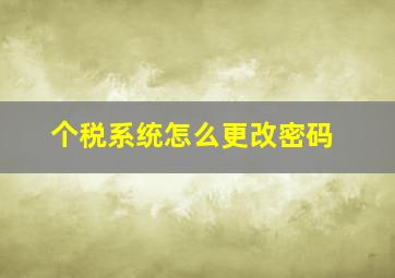 个税系统怎么更改密码