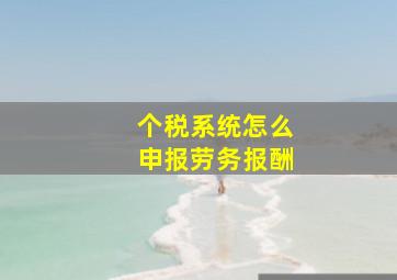 个税系统怎么申报劳务报酬