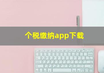 个税缴纳app下载