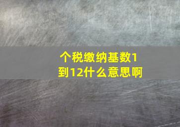 个税缴纳基数1到12什么意思啊