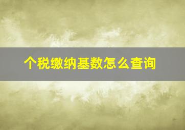 个税缴纳基数怎么查询