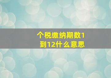 个税缴纳期数1到12什么意思