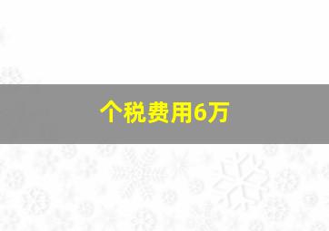 个税费用6万