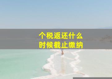 个税返还什么时候截止缴纳