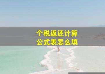 个税返还计算公式表怎么填