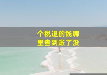 个税退的钱哪里查到账了没