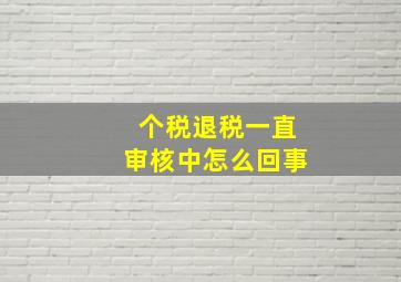 个税退税一直审核中怎么回事