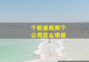 个税退税两个公司怎么申报