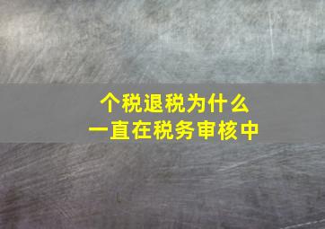 个税退税为什么一直在税务审核中