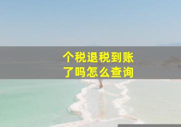 个税退税到账了吗怎么查询