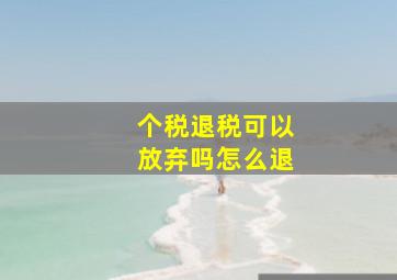 个税退税可以放弃吗怎么退