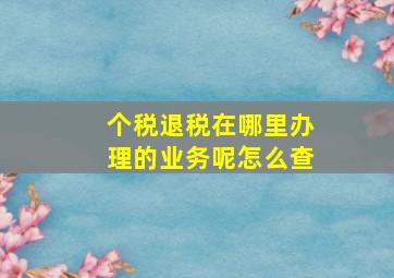 个税退税在哪里办理的业务呢怎么查